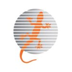 concord-service-center-srl