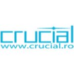 crucial systems services